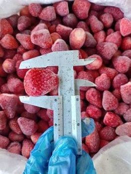 Premium IQF Frozen Whole Strawberries | Grade A | Export Quality - Food&Good - Vietnam